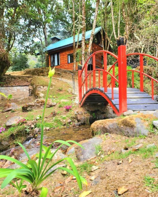 Unicorn Lodge: Direct Riverfront : Unique Experience San Gerardo de Dota Eksteriør billede