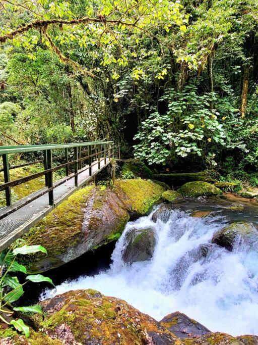 Unicorn Lodge: Direct Riverfront : Unique Experience San Gerardo de Dota Eksteriør billede