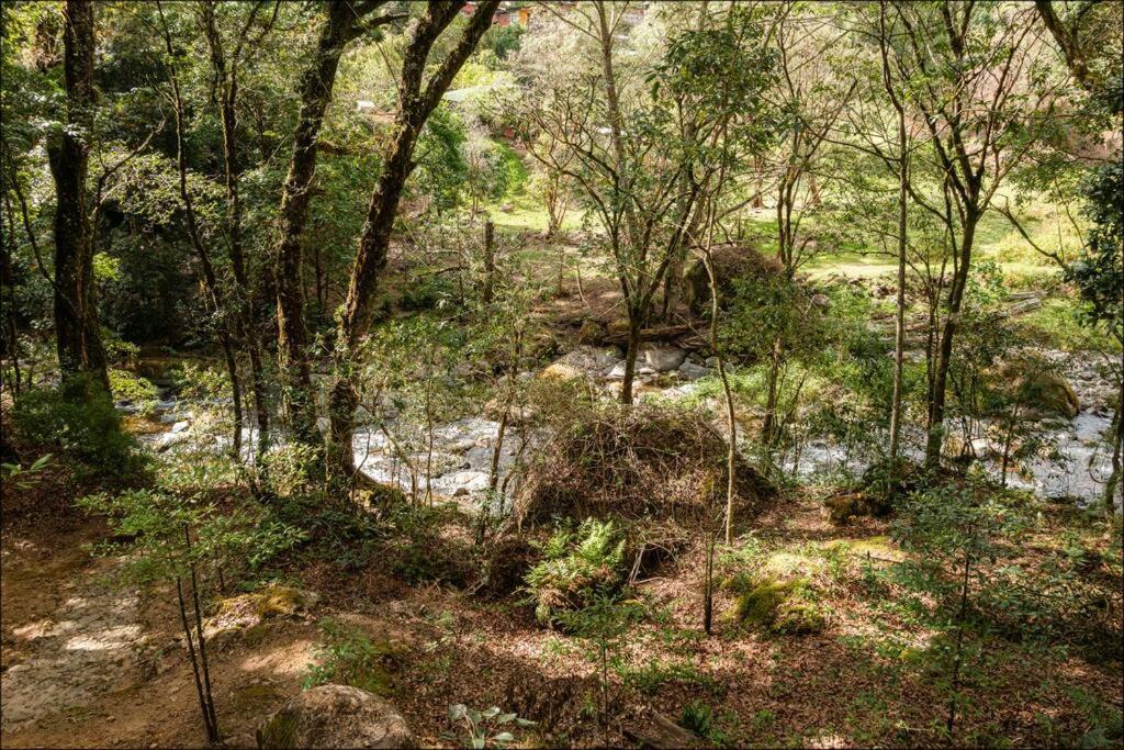 Unicorn Lodge: Direct Riverfront : Unique Experience San Gerardo de Dota Eksteriør billede