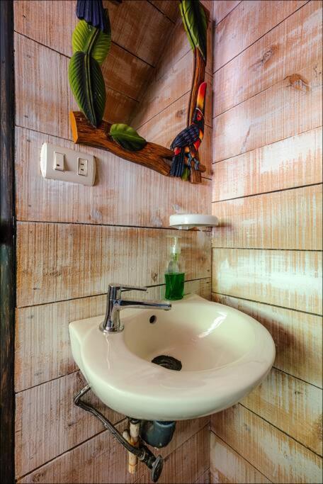 Unicorn Lodge: Direct Riverfront : Unique Experience San Gerardo de Dota Eksteriør billede