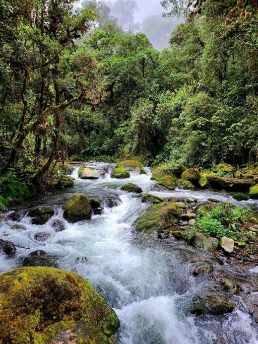 Unicorn Lodge: Direct Riverfront : Unique Experience San Gerardo de Dota Eksteriør billede