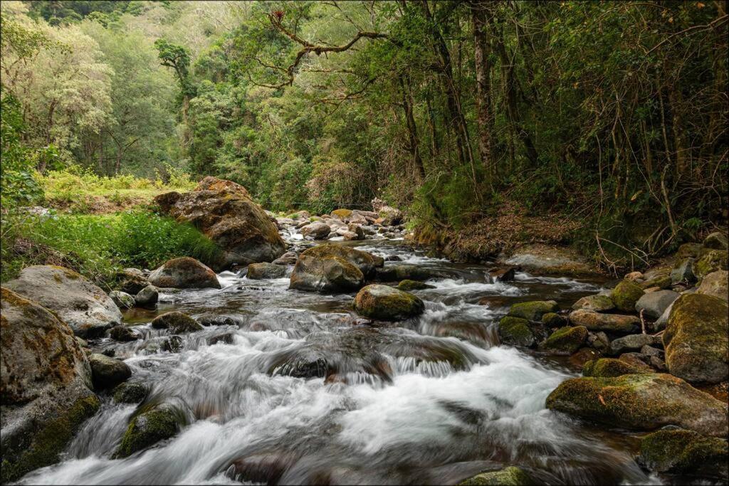 Unicorn Lodge: Direct Riverfront : Unique Experience San Gerardo de Dota Eksteriør billede