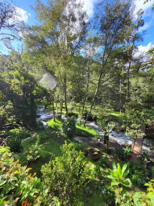 Unicorn Lodge: Direct Riverfront : Unique Experience San Gerardo de Dota Eksteriør billede