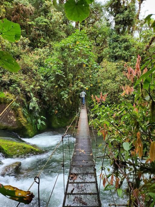 Unicorn Lodge: Direct Riverfront : Unique Experience San Gerardo de Dota Eksteriør billede