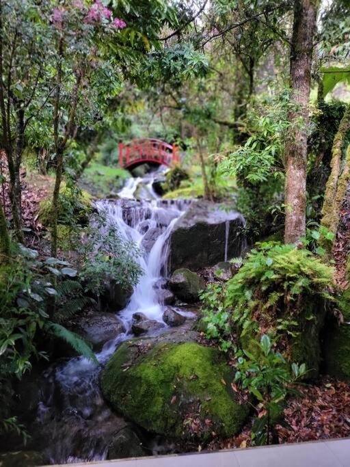 Unicorn Lodge: Direct Riverfront : Unique Experience San Gerardo de Dota Eksteriør billede