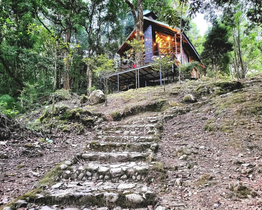 Unicorn Lodge: Direct Riverfront : Unique Experience San Gerardo de Dota Eksteriør billede