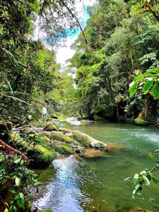 Unicorn Lodge: Direct Riverfront : Unique Experience San Gerardo de Dota Eksteriør billede