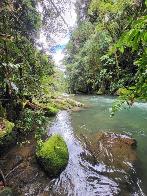 Unicorn Lodge: Direct Riverfront : Unique Experience San Gerardo de Dota Eksteriør billede